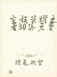 家族荣耀之继承者30集免费