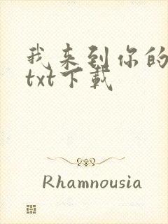 我来到你的时空txt下载