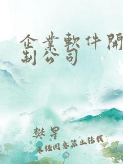 企业软件开发定制公司