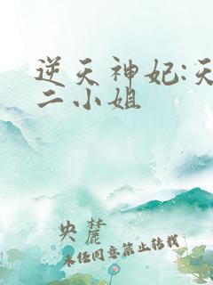 逆天神妃:天才二小姐