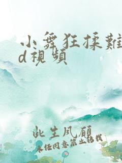 小舞狂揉难受3d视频