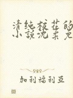 清纯校花的日常小说沈柔免费阅读