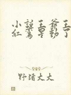 小说王爷王妃的红鸾星动了