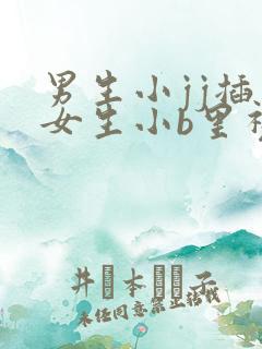 男生小jj插入女生小b里视频