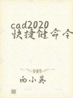 cad2020快捷键命令大全表