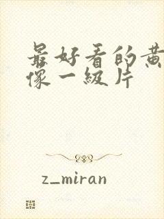 最好看的黄色录像一级片