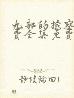 九部的检察官免费全集免费观看