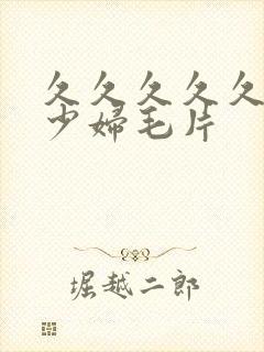 久久久久久久黄少妇毛片