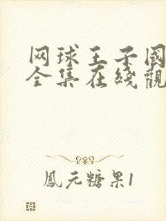 网球王子国语版全集在线观看免费