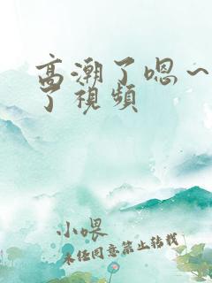 高潮了嗯～喷水了视频