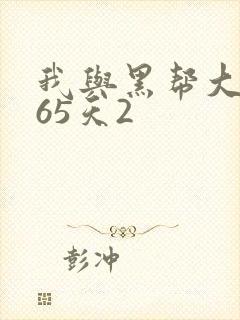 我与黑帮大佬365天2