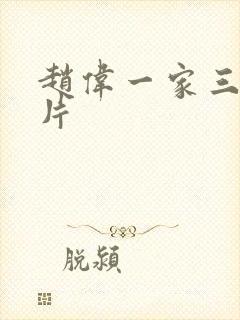 赵伟一家三口照片