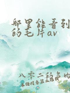 哪里能看到免费的毛片av