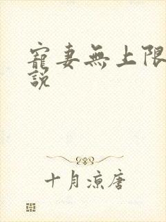 宠妻无上限 小说