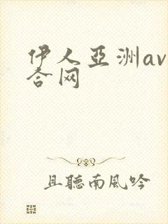伊人亚洲av综合网