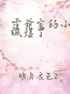 霍爷家的小祖宗飒爆了