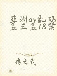 亚洲av乱码二区三区18禁