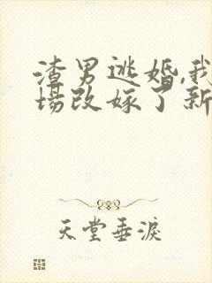 渣男逃婚,我当场改嫁了新章节