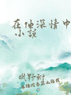 在他深情中陨落 小说