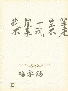 我用一生等你你不来我不老是哪首歌