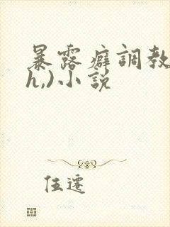 暴露癖调教(高h,)小说