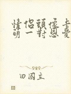 情侣头像卡通呆萌一对恩爱