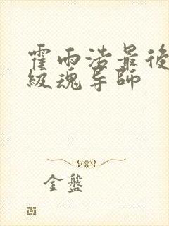 霍雨浩最后是几级魂导师