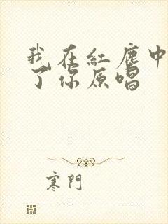 我在红尘中遇见了你原唱