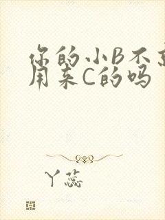 你的小B不就是用来C的吗