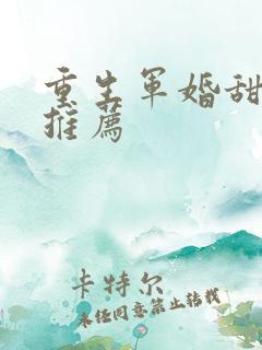 重生军婚甜宠文推荐