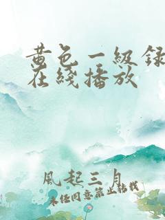 黄色一级录像片在线播放