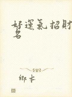 好运气招财男网名