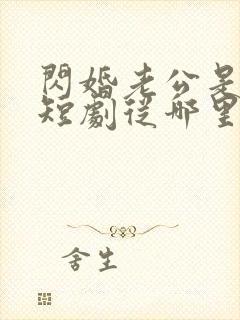 闪婚老公是总裁短剧从哪里看全片