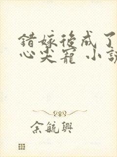 错嫁后成了总裁心尖宠 小说