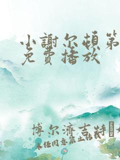 小谢尔顿第五季免费播放