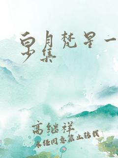 白月梵星一共多少集