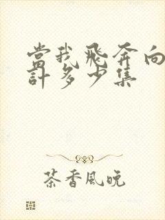 当我飞奔向你共计多少集