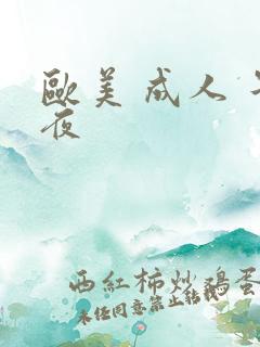 欧美 成人 午夜