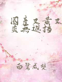 国产又黄又色又爽无遮挡