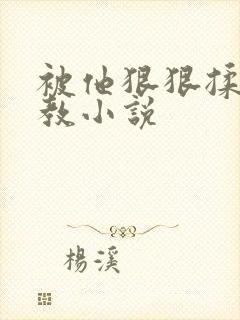 被他狠狠揉搓调教小说