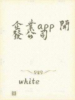 企业app 开发公司