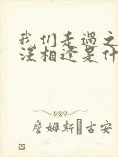 我们走过之后再没相逢是什么歌