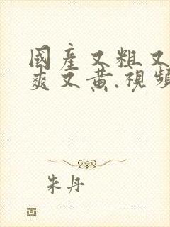 国产又粗又猛又爽又黄.视频