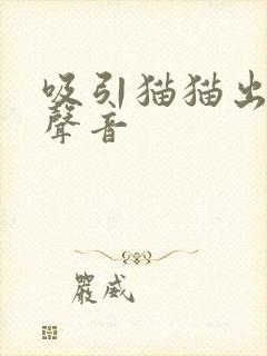 吸引猫猫出来的声音