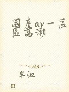 国产av一区二区高潮