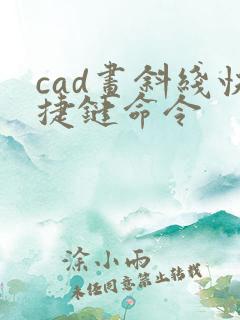 cad画斜线快捷键命令