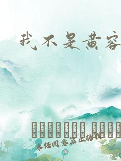 我不是黄容