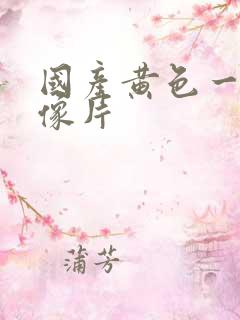 国产黄色一级录像片