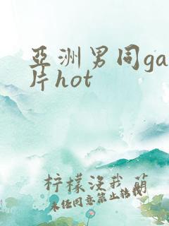 亚洲男同gay片hot