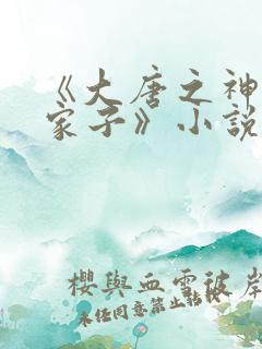 《大唐之神级败家子》小说